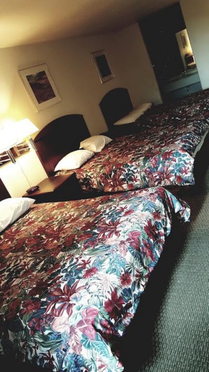 Cedar Creek Inn Bertram Rum bild